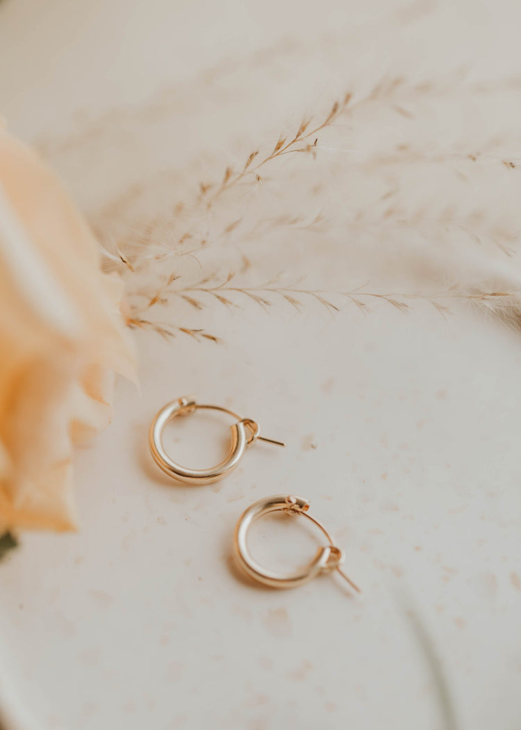 Bold Hoops