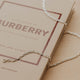 Gold necklace on a beige surface with a Burberry book in the background