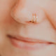 Tiny Twist Nose Ring