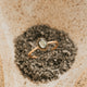 Abbie Ring