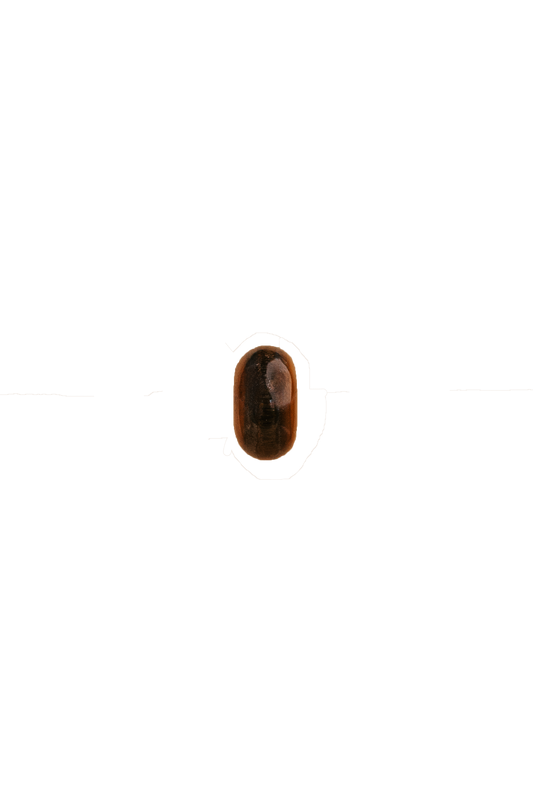Brown Chroma Bead