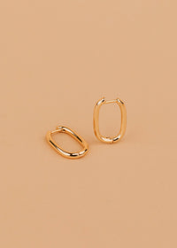 Arlo Hoops