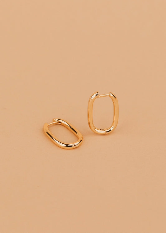 Arlo Hoops