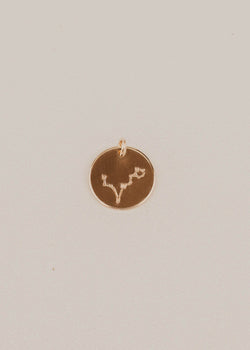 Evie Pisces Constellation Charm