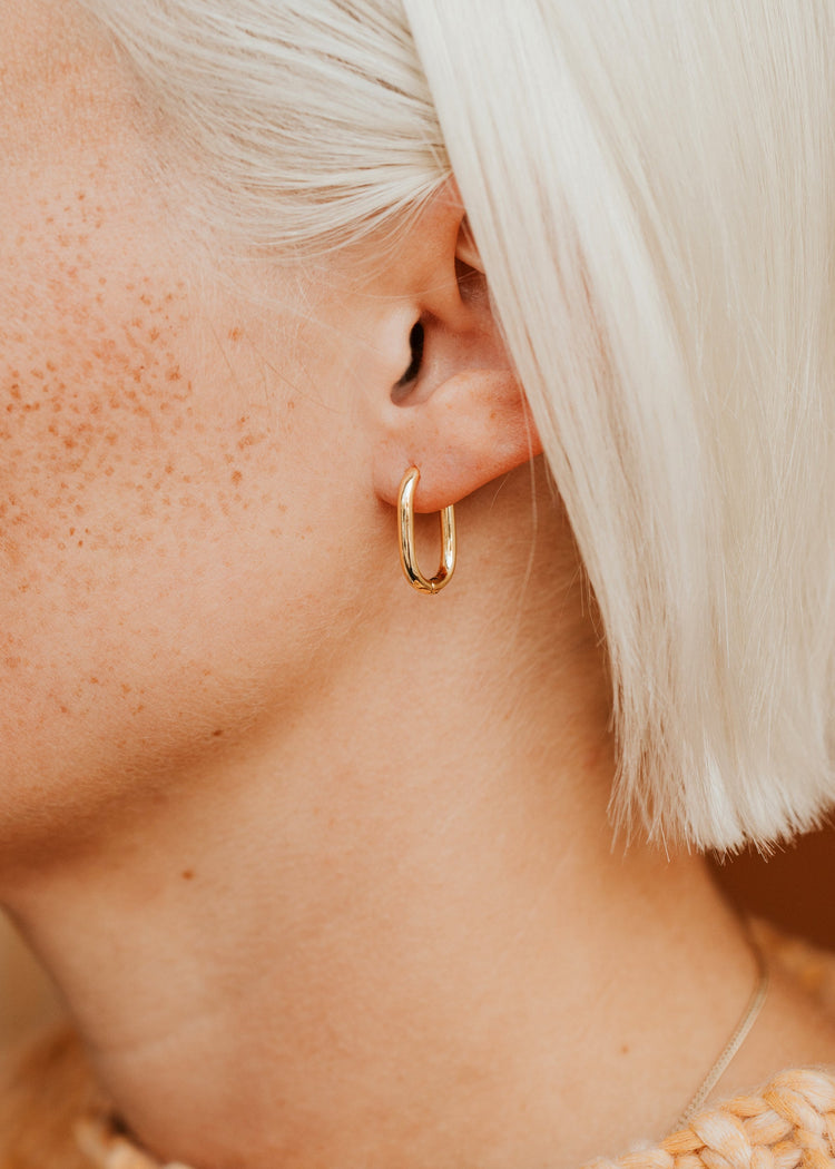 Arlo Hoops