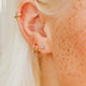 Mara Studs
